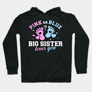 Gender Reveal Big Sister Family Hoodie